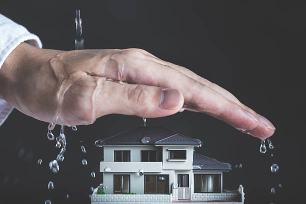 Protection and housing