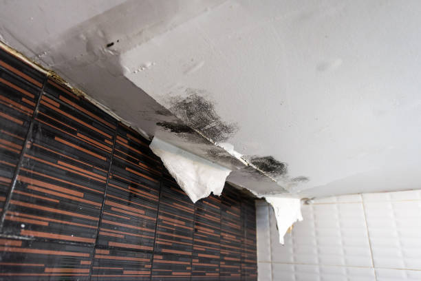 Damaged ceiling from rain water leak